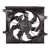 TYG OE Replacement(CAPA Quality) Cooling Fan Extra Silent for 2010-2011 Kia S...