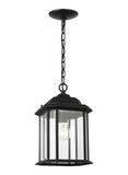 Generation Lighting 60031-12 One Light Outdoor Pendant Clear Black