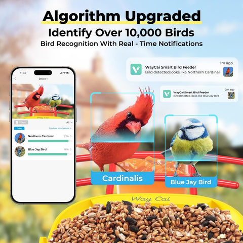 WayCai Bird Feeders Pro - Smart Hummingbird Bird Feeder with Camera, AI Ident...