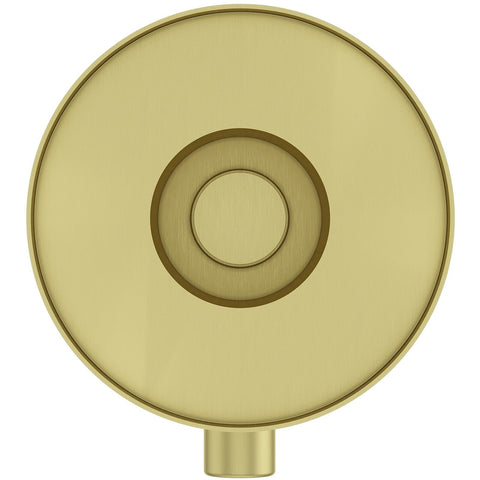 Pfister Contempra 1-Handle Diverter Trim Brushed Gold (Valve not included) 01...