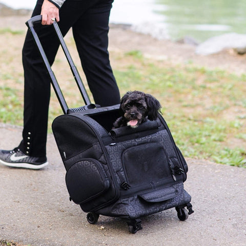 Gen7Pets Dog Carrier - Large Black Roller Bag Pet Carrier