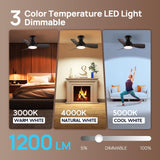 Consciot Ceiling Fan, 30 Inch Ceiling Fan With Lights Remote Control, Black L...