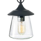 LOG BARN Outdoor Pendant Lights, Porch Fixture in Painted Black Metal with Cl...