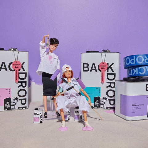 BACKDROP | Premium Interior Paint | Standard Semi Matte, Low Sheen Finish | S...