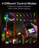 Lumary 100FT Smart Outdoor String Lights with APP/Remote/Voice Control, RGBAI...