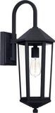 Capital Lighting 926911BK Ellsworth Clear Glass Outdoor Wall Sconce, 1-Light ...