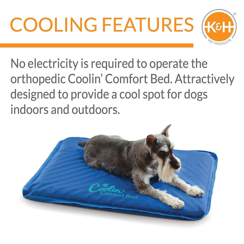 K&H Pet Products Coolin' Comfort Bed Blue Medium 22 X 32 Inches (4C FFP)