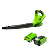 Greenworks 40V (150 MPH / 130 CFM) Cordless Leaf Sweeper (2.0Ah), Green/Black