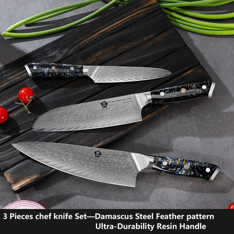 WILDMOK Damascus Kitchen Knife Sets 3 PCS, Japanese Kitchen Knife Set Damascu...