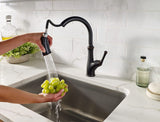 Pfister Tamera Kitchen Faucet with Pull Down Sprayer and Soap Dispenser, Sing...