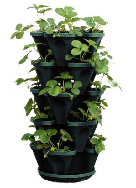 Mr. Stacky 1305-HG 5-Tier Stackable Strawberry, Herb, Flower, & Vegetable Pla...