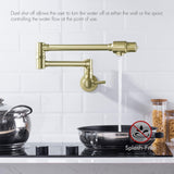 BAGNOLUX Brushed Gold Pot Filler Faucet, Traditional Double Handle Coffee Mac...