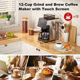 Galanz 2-in-1 Grind and Brew 8.5×11.4×16.9 (W×D×H, Inches), Stainless Steel