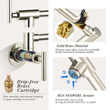 WOWOW Pot Filler Faucet Polished Nickel Commercial Wall Mount Stove Faucet, B...