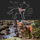 EzyDog Convert Trail-Ready Outdoor Adjustable Dog Harness - Perfect for Hikin...