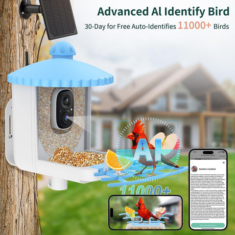 Smart Bird Feeder with Camera Solar Powered, 1080P HD AI Identify Wild Bird F...