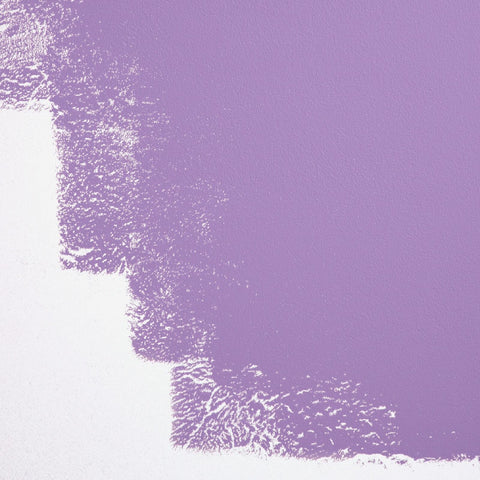 BACKDROP | Premium Interior Paint | Standard Semi Matte, Low Sheen Finish | S...