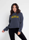 chicka-d Women's Burnout Cropped Hoodie Michigan Wolverines Small Ink