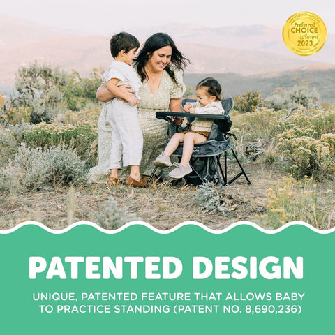Baby Delight Go with Me Venture Portable Chair | Indoor and Outdoor | Sun Can...