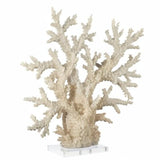 Deco 79 Polystone Coral Decorative Sculpture Home Decor Statue with Clear Acr...