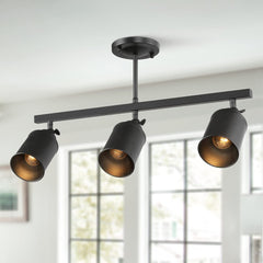 LALUZ Industrial Complete Track Lighting Kits with Straight Bar Metal Shade, ...