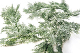 CraftMore Snowy Cedar Garland 6-Foot