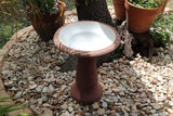 Exaco FM-220 Indoor Outdoor Garden Fiber Clay Scroll Vine Bird Bath Bowl Trim...