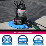 Wayne 57729-WYNP WAPC250 Pool Cover Pump, Blue No Size,