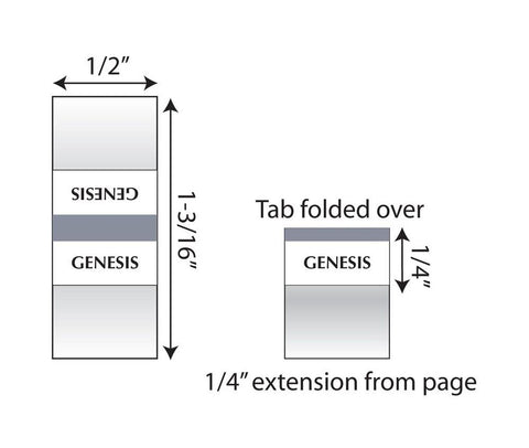 Tabbies 20 Pack with Display Mini Silver-Edged Bible Indexing Tabs, Old & New...