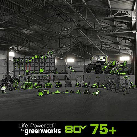 Greenworks 80V (125 MPH / 500 CFM / 75+ Blower (2.0Ah), Green/Black