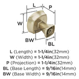 Amerock Stature 1-1/4 in (32 mm) Length Golden Champagne Cabinet Knob - 10 Pack