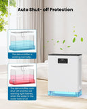 BIZEWO Dehumidifier for Home, (980 sq.ft) Queit Dehumidifiers for Basement, B...