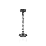 LOG BARN Outdoor Pendant Lights, Porch Fixture in Painted Black Metal with Cl...