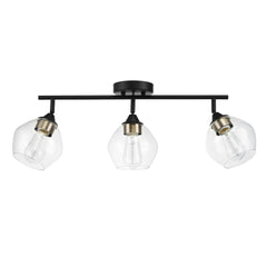 Globe Electric 59619 Harrow 3-Light Track Lighting, Matte Black, Antique Bras...