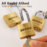 SEPOX&#174; 16 Pcs Pack Solid Brass Padlock with Same Keys 24 Pcs, Heavy Duty &