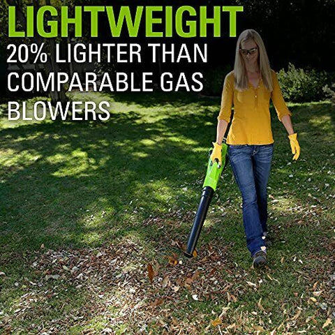 Greenworks 40V (110 MPH / 390 CFM) Cordless Blower (2.5Ah), (2.5Ah)